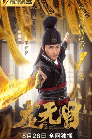 The Eye Of The Dragon Princess's poster