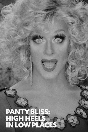Panti Bliss: High Heels in Low Places's poster