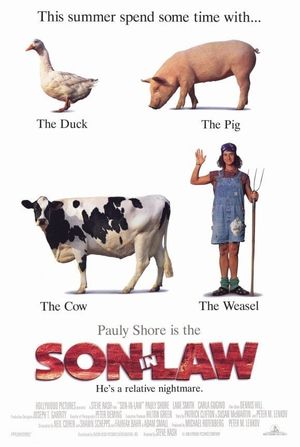 Son in Law's poster