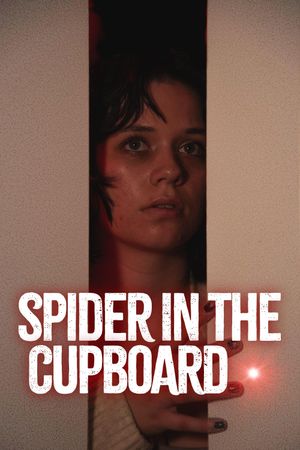 Spider in the Cupboard's poster