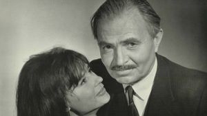 The Deadly Affair's poster