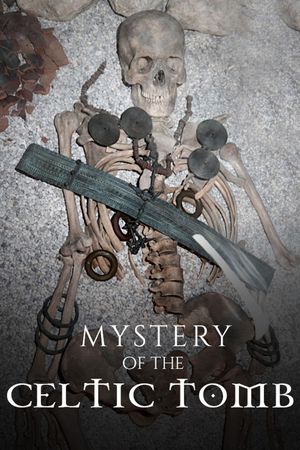 Mystery of the Celtic Tomb's poster
