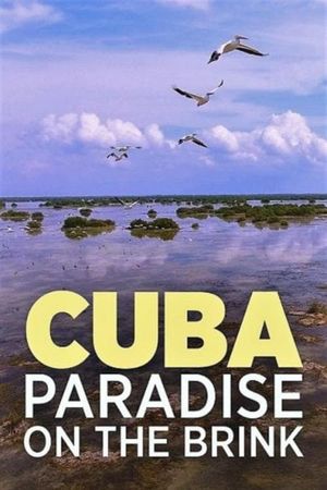 Cuba, A Paradise on the Brink's poster