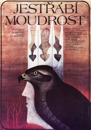 Jestrábí moudrost's poster image