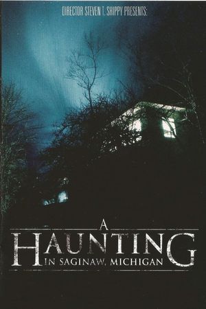 A Haunting in Saginaw, Michigan's poster