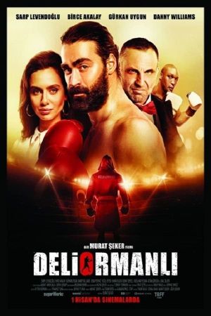 Deliormanli's poster