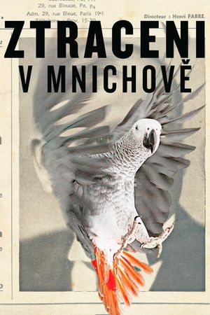 Lost in Munich's poster