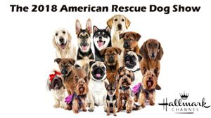 The 2018 American Rescue Dog Show's poster