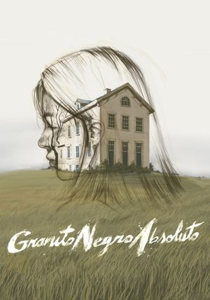 Absolute Black Granite's poster