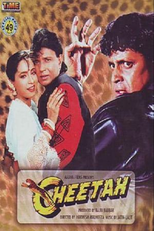 Cheetah's poster