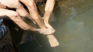 Call Me by Your Name's poster