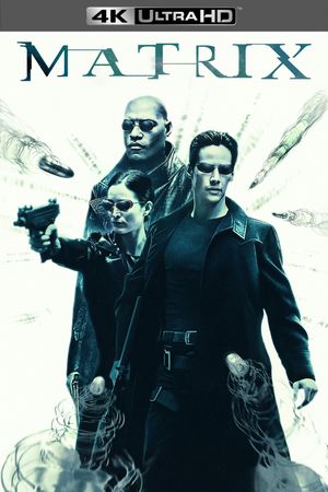The Matrix's poster
