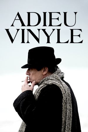 Goodbye Vinyle's poster