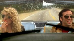 Wild at Heart's poster