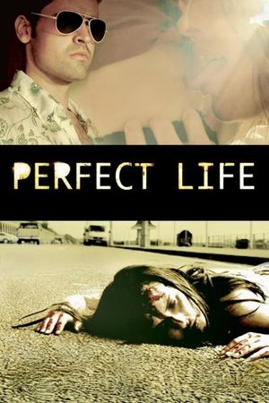 Perfect Life's poster
