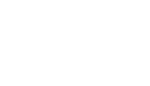 The Flower of My Secret's poster