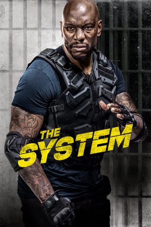 The System's poster