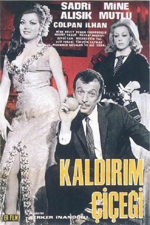 Kaldirim Çiçegi's poster