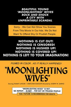 Moonlighting Wives's poster