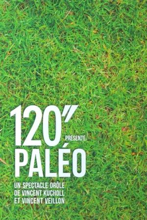 120" présente Paléo's poster