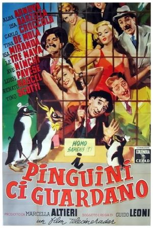 I pinguini ci guardano's poster image