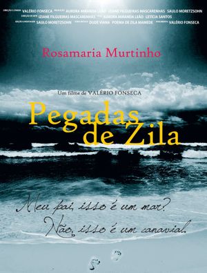 Pegadas de zila's poster