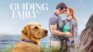 Guiding Emily's poster