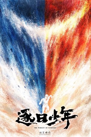 The Pursuit of Sunlight's poster