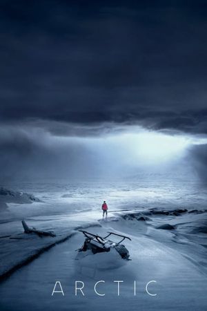 Arctic's poster