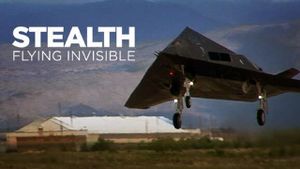 Stealth: Flying Invisible's poster