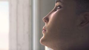 The Window's poster