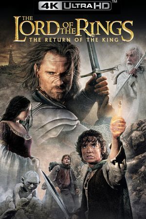 The Lord of the Rings: The Return of the King's poster