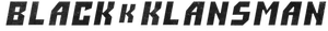 BlacKkKlansman's poster