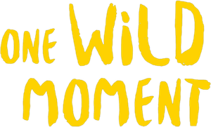One Wild Moment's poster