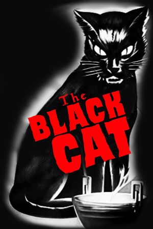 The Black Cat's poster