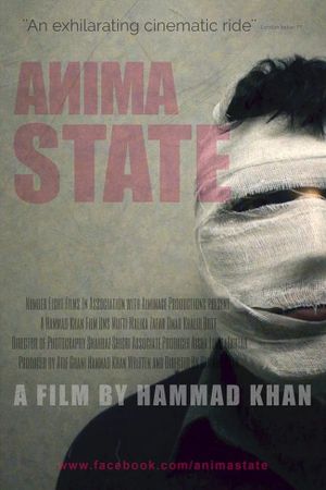 Anima State's poster image