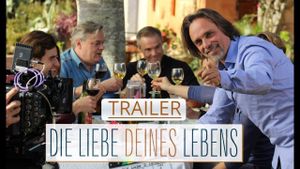 Die Liebe deines Lebens's poster