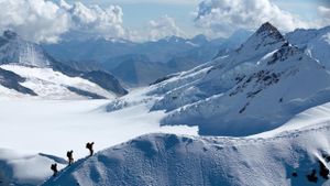 The Alps's poster