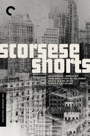 American Boy: A Profile of Steven Prince's poster