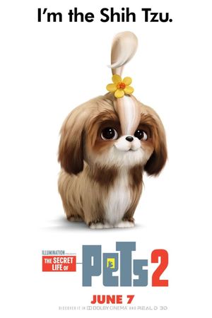 The Secret Life of Pets 2's poster