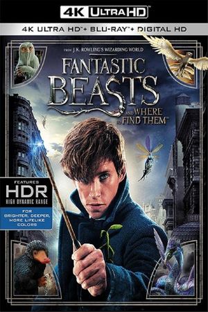 Fantastic Beasts and Where to Find Them's poster