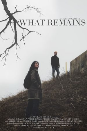 What Remains's poster