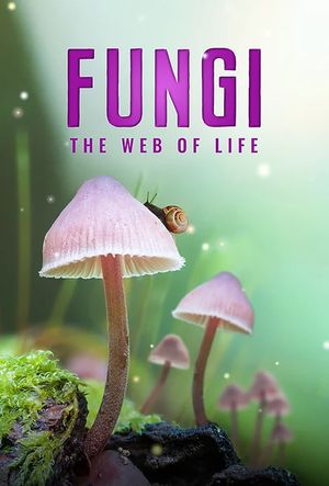 Fungi: The Web of Life's poster