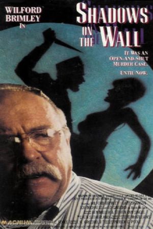 Shadows on the Wall's poster image