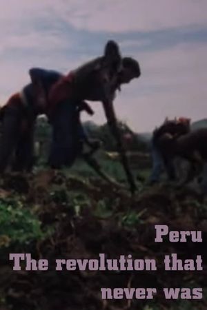 Peru: The Revolution that never was's poster