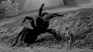 The Incredible Shrinking Man's poster