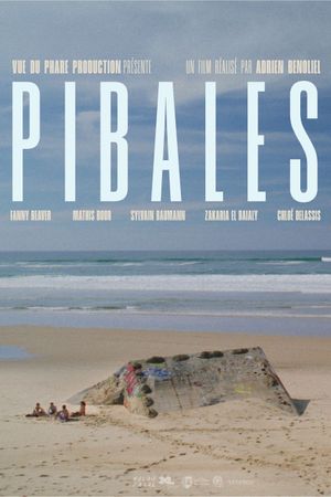 Pibales's poster