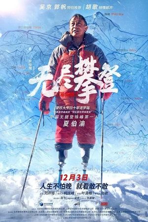 To the Summit's poster