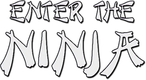 Enter the Ninja's poster
