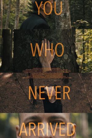 You Who Never Arrived's poster